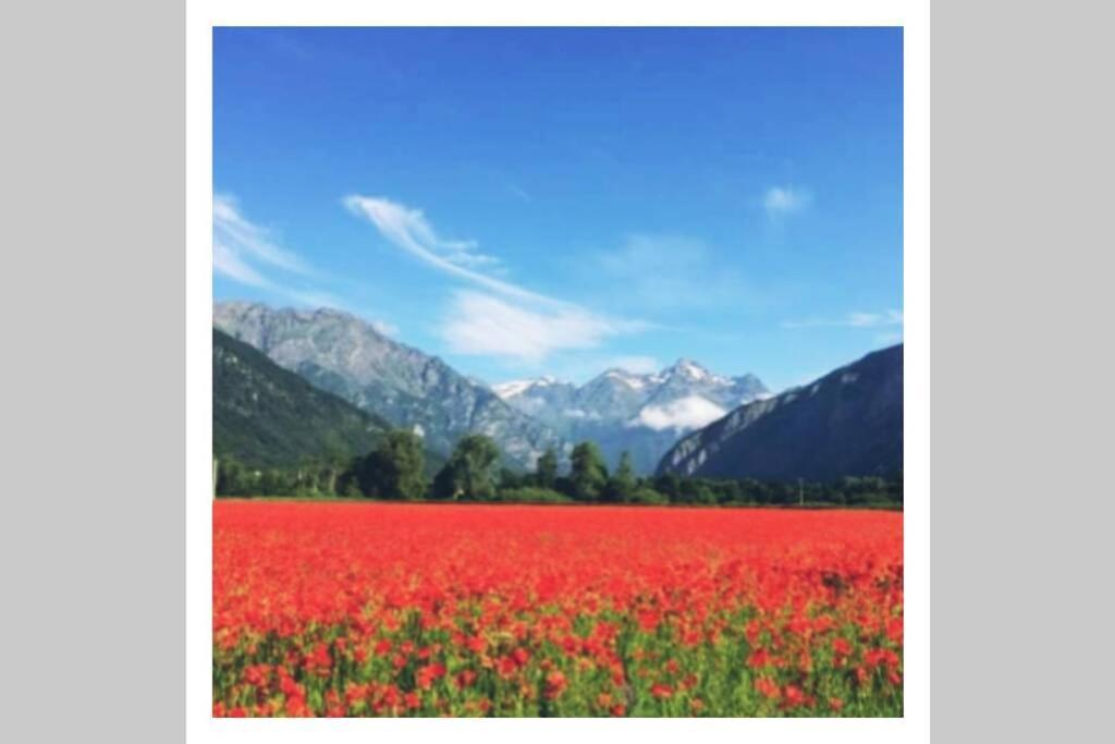 Apartmán L'Edelweis Le Bourg-dʼOisans Exteriér fotografie